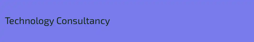 Technology Consultancy